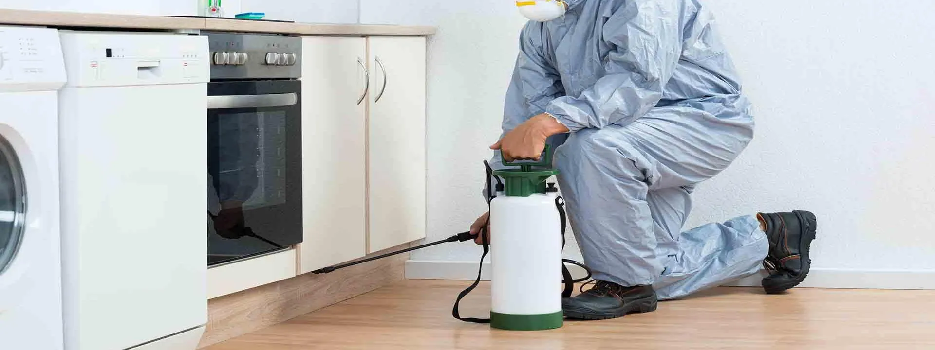 Bandeau Désinfection de logements sur Saint Quentin