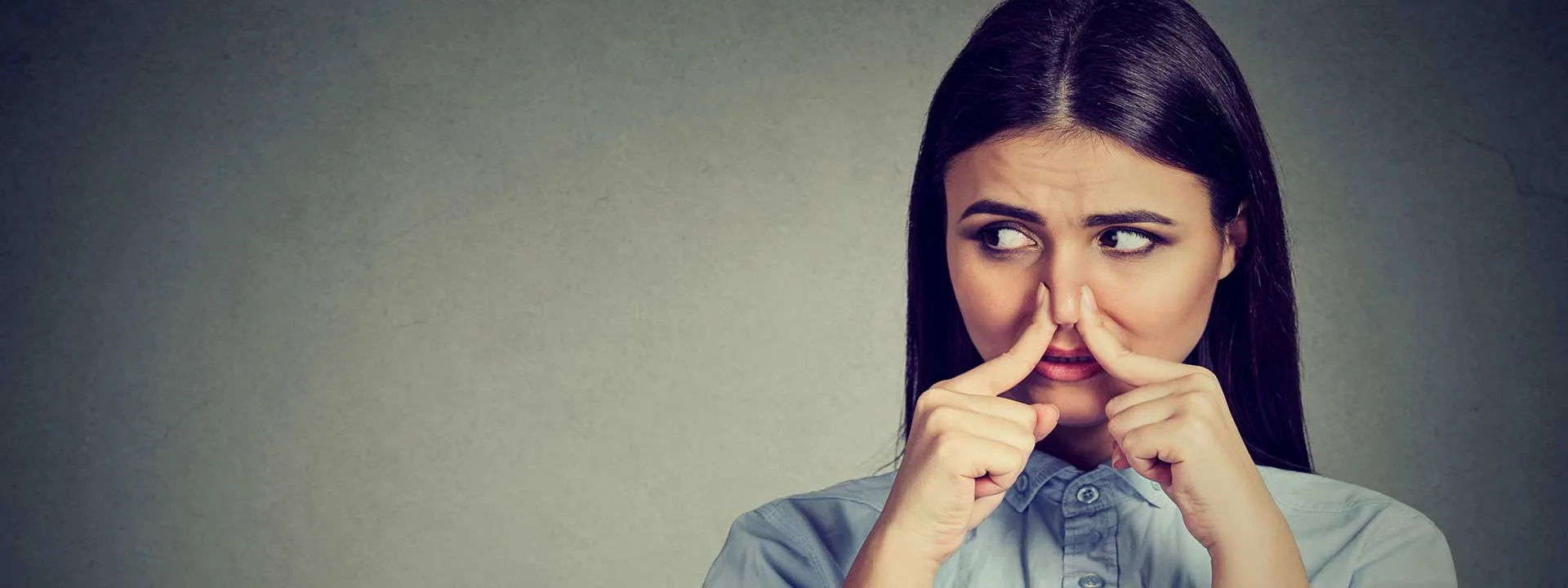 Bandeau Destructions d'odeurs nauséabondes sur Dax